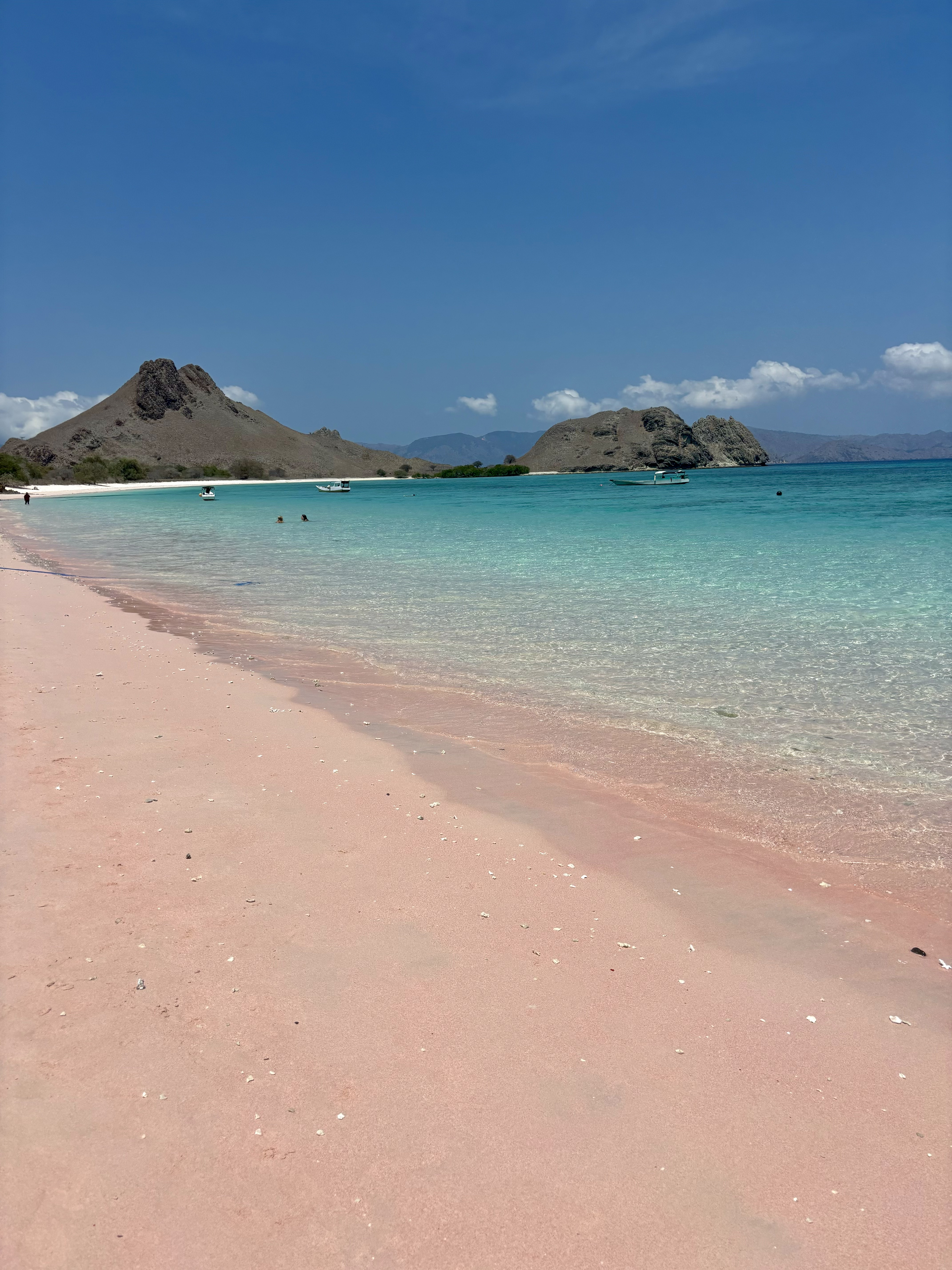 Różowa plaża, Komodo, Indonezja